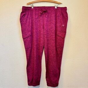 NWOT Torrid Super Soft Performance Jersey Active Jogger With Cargo Pocket Size 2